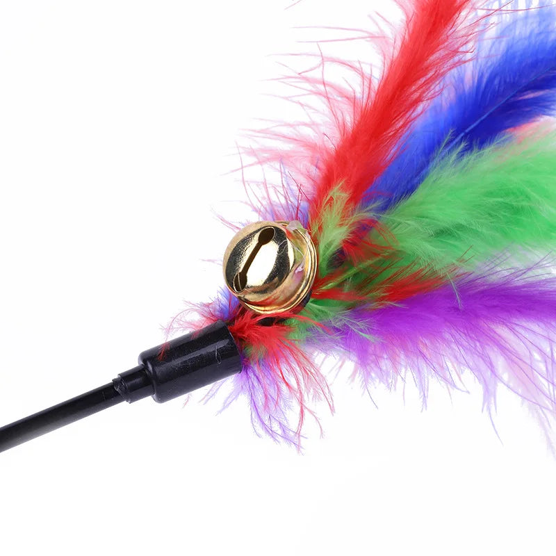 Cannes à plumes Grelot (lot de 5)