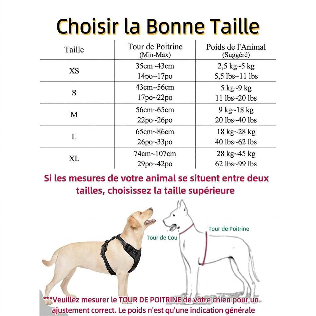 Guide des tailles – Harnais gilet Éclat réfléchissant
