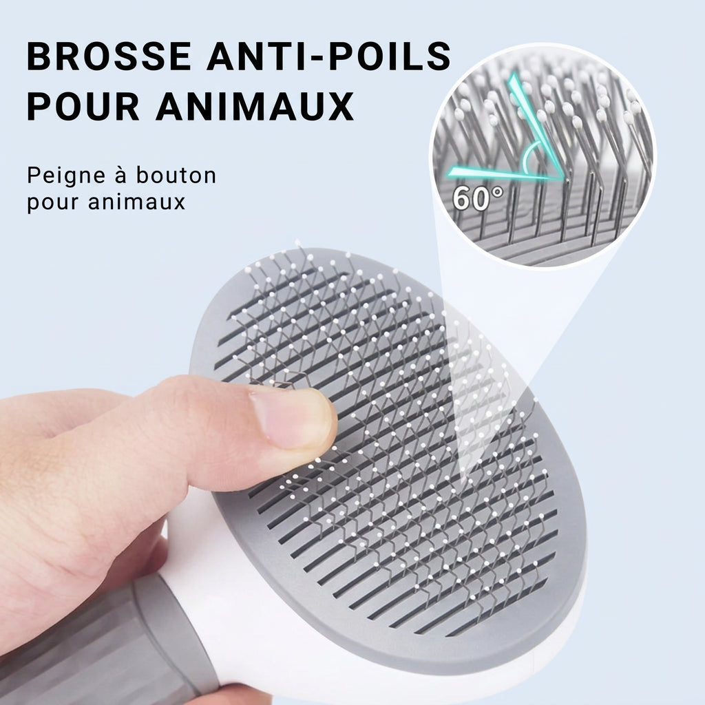 Brosse Clic – nettoyage en un clic