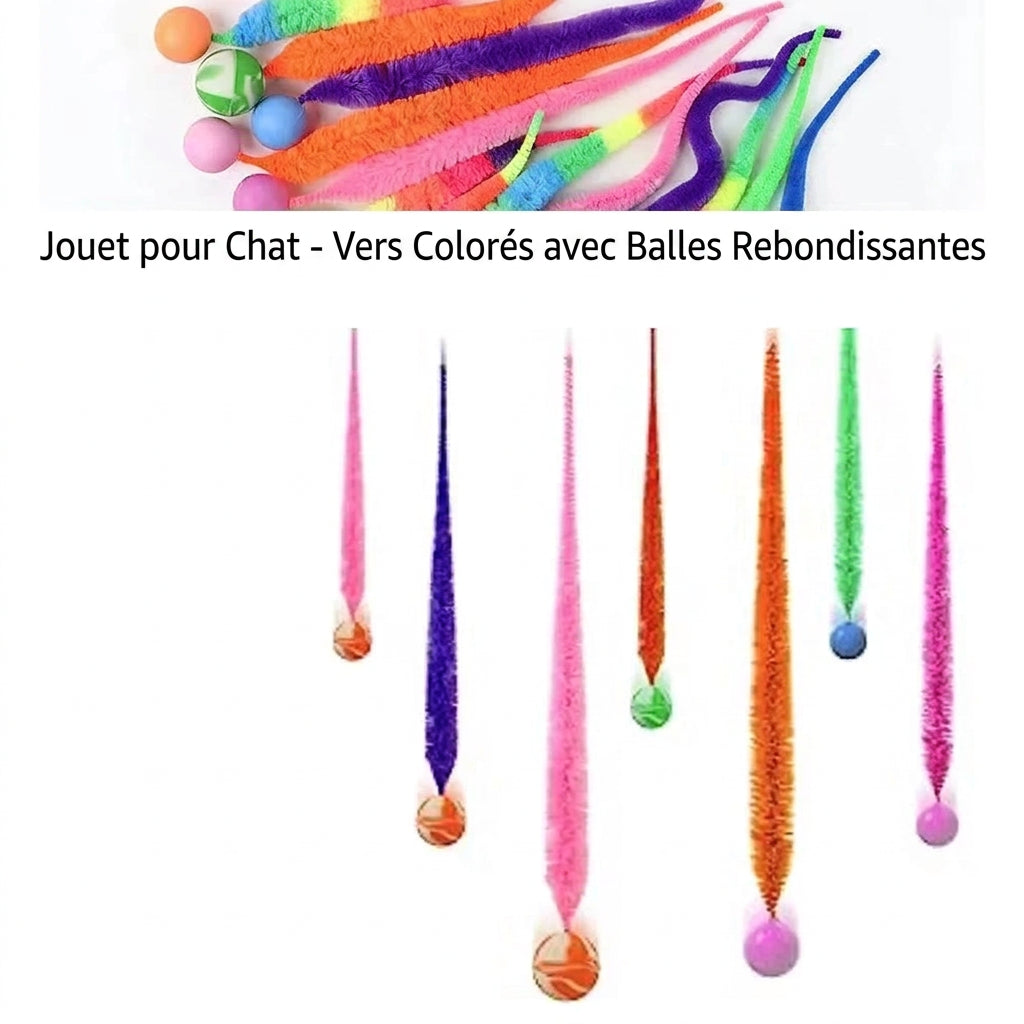 Chenille Rebondissante – caractéristiques