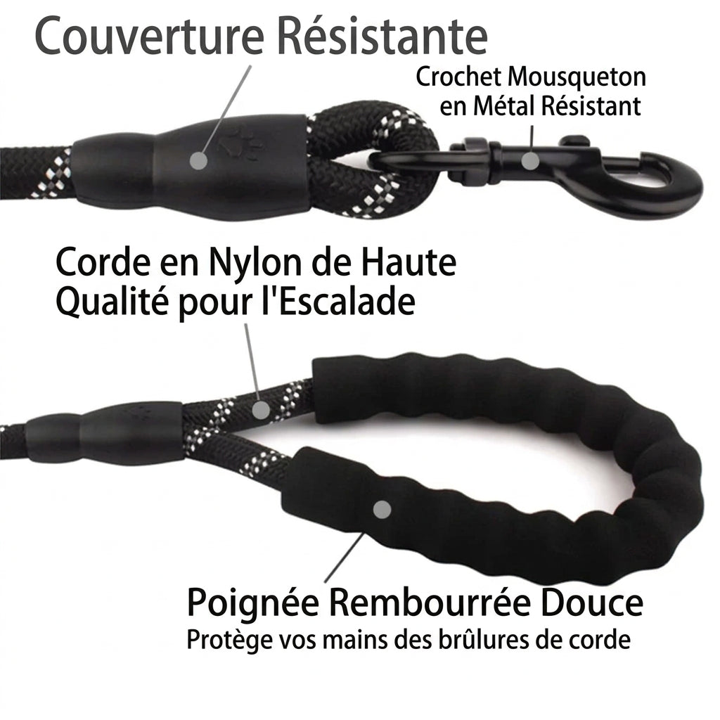 Détails de la laisse : couverture résistante, mousqueton métal, corde nylon, poignée rembourrée