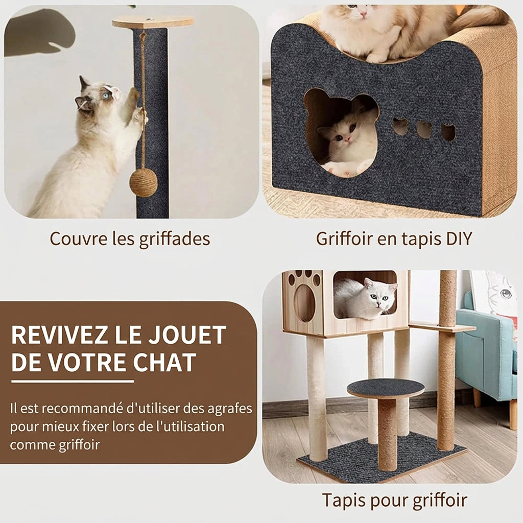 Utilisations du tapis griffoir : protéger le canapé, griffoir DIY, arbre à chat