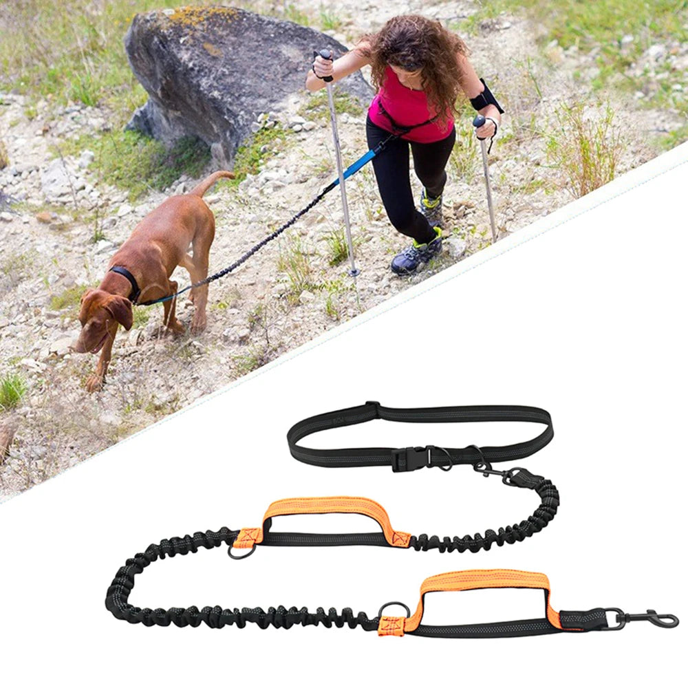 Laisse mains libres Foulée pour chien