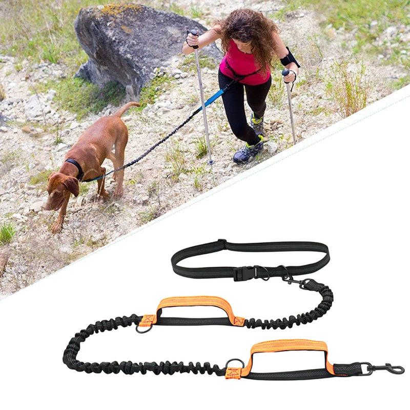 Laisse mains libres Foulée pour chien
