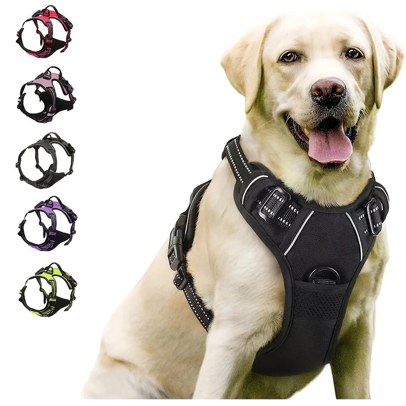 Harnais anti-traction Balade porté par un chien