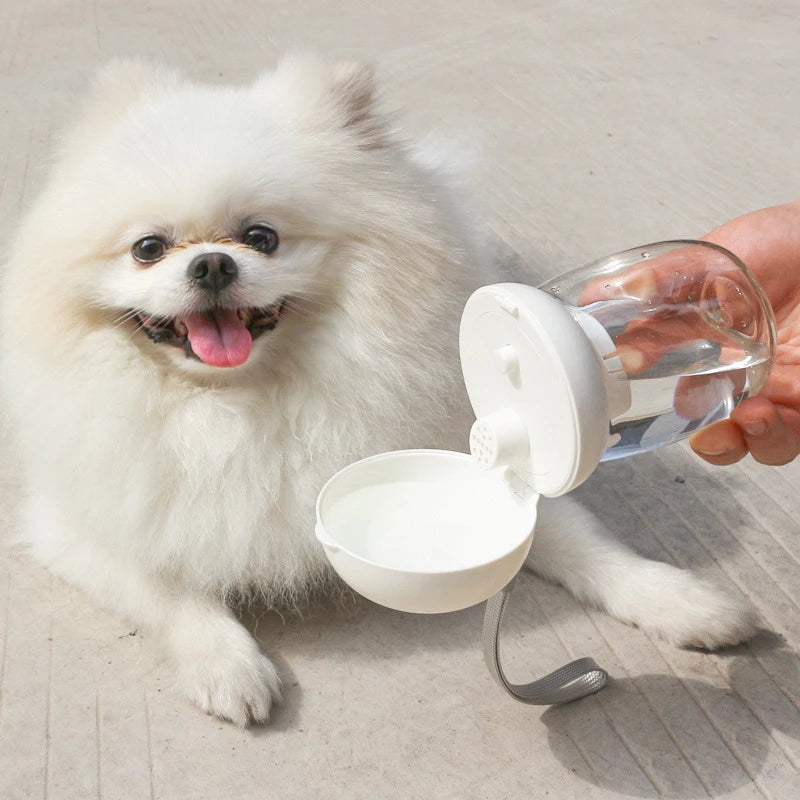 Gourde Bandoulière pour chien