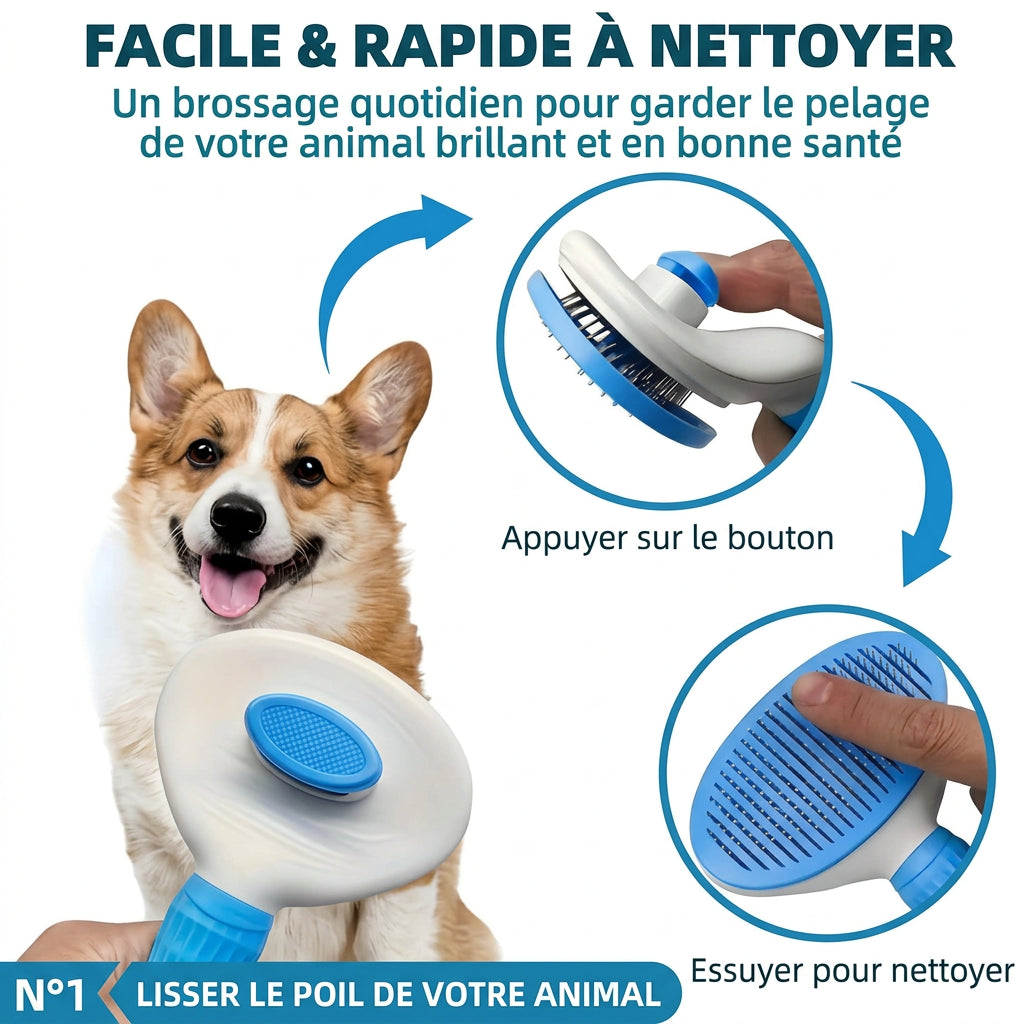 Peigne autonettoyant : appuyer sur le bouton et essuyer pour nettoyer, chien corgi
