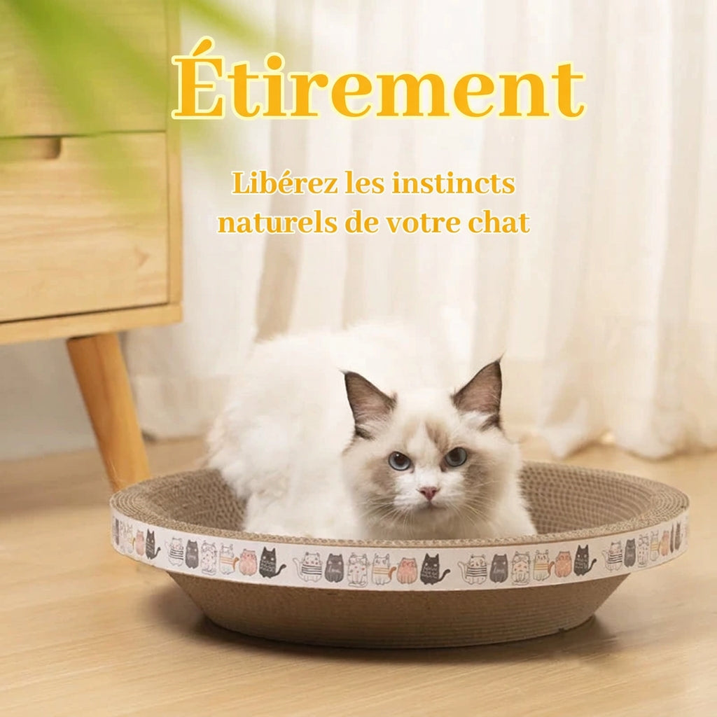 Chat couché dans le griffoir rond, texte « Étirement »