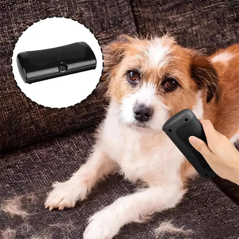 Brosse Carde Noire