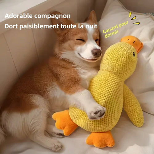 Canard à mâchouiller Coin-Coin – jouet pour chien