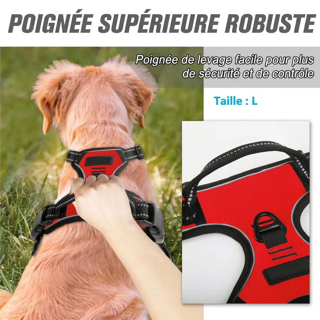 Harnais anti-traction Balade – poignée supérieure robuste