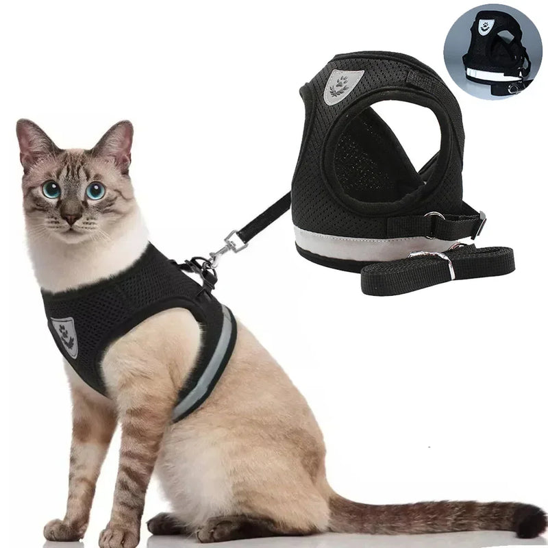 Harnais gilet Mini Cocon porté par un petit chien