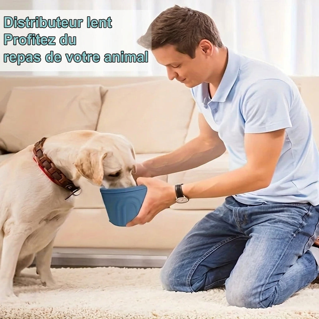 Bol à lécher Silicone – caractéristiques