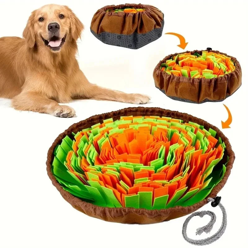Tapis de fouille Flair pour chien