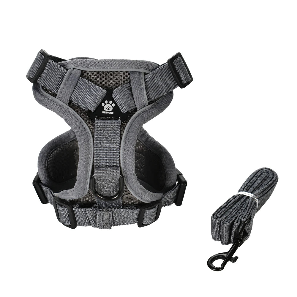 Harnais gilet Brise + laisse