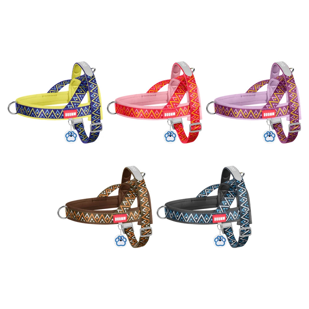 Harnais selle Géo