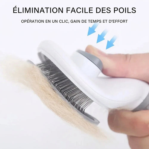 Brosse autonettoyante Douceur – utilisation