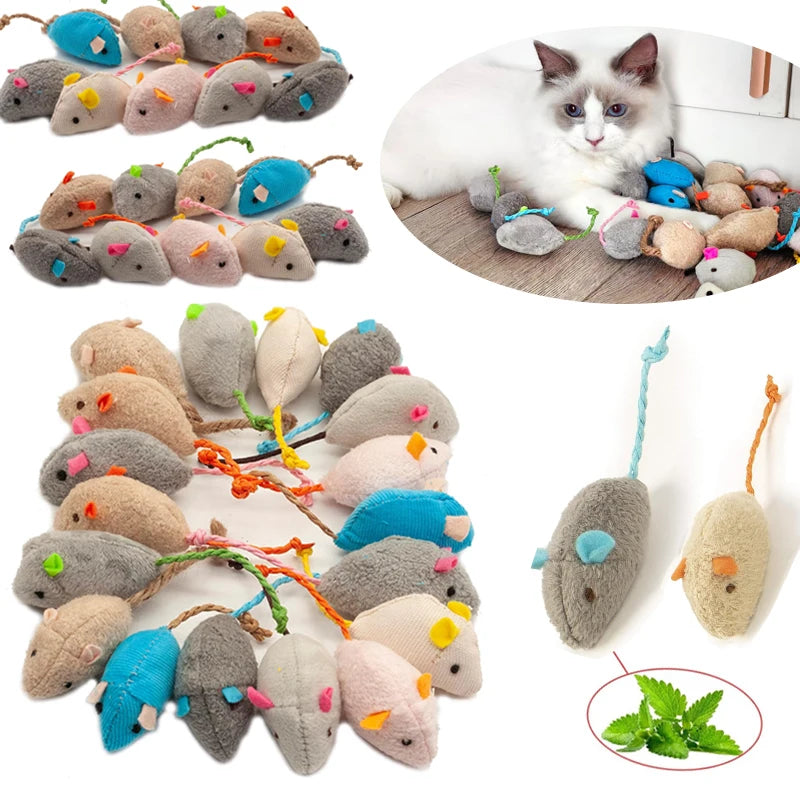 Souris Herbe à chat