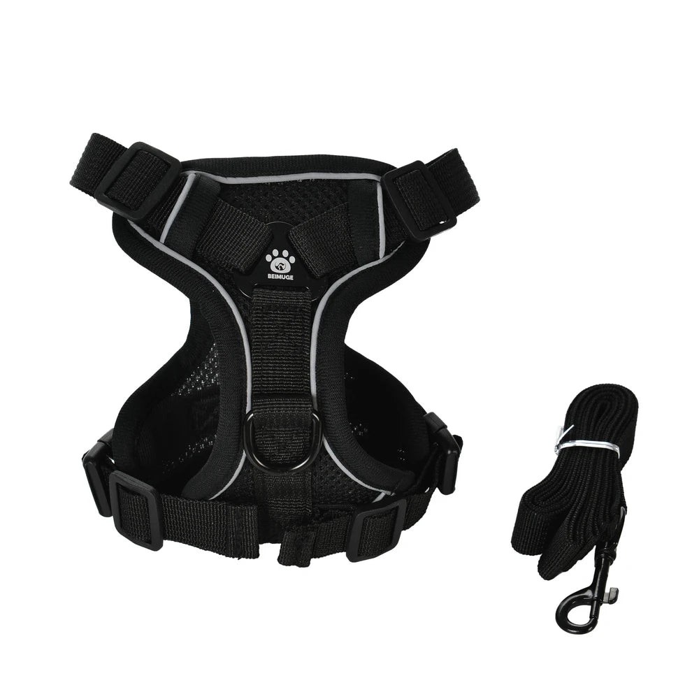 Harnais gilet Brise + laisse