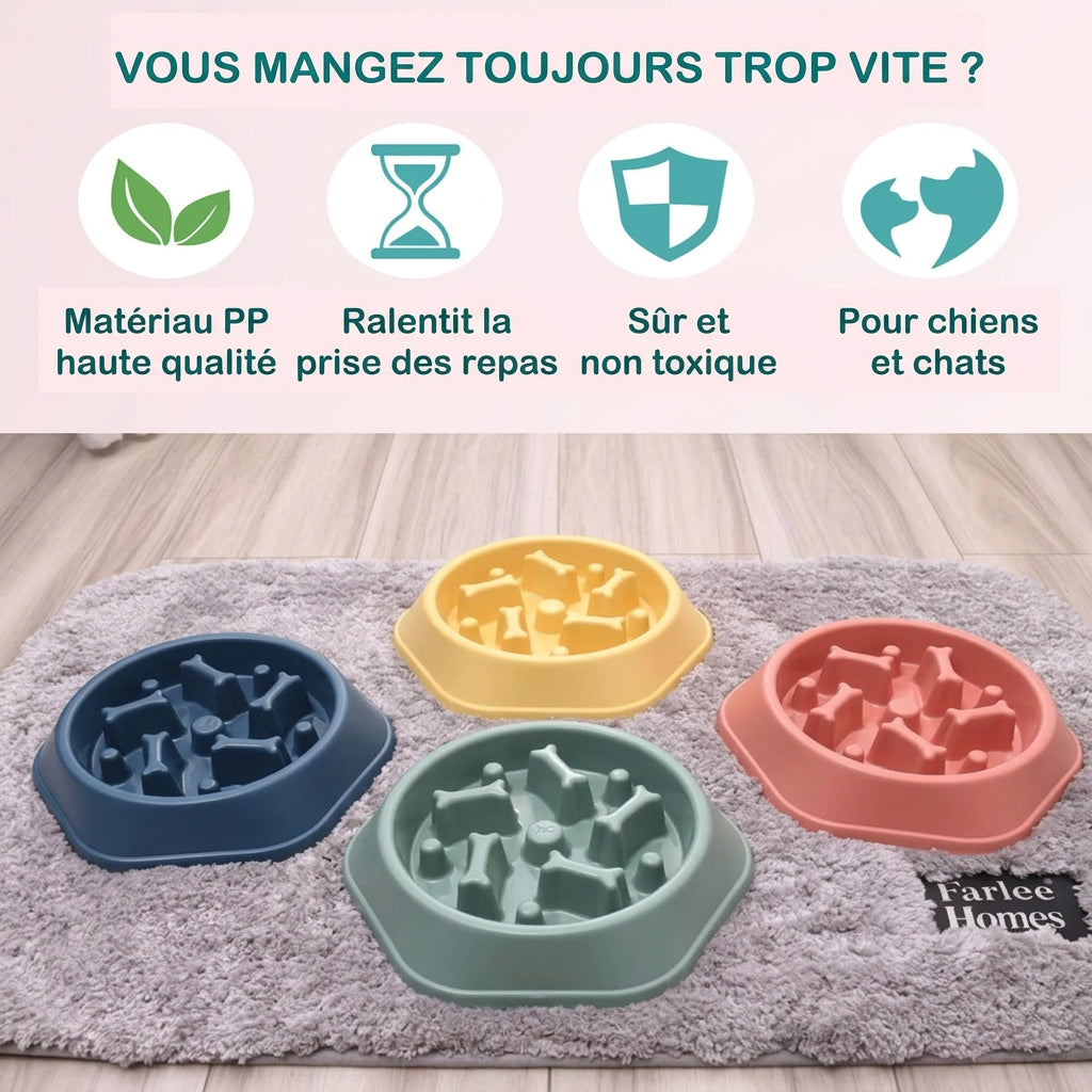 Gamelle anti-glouton Labyrinthe – avantages