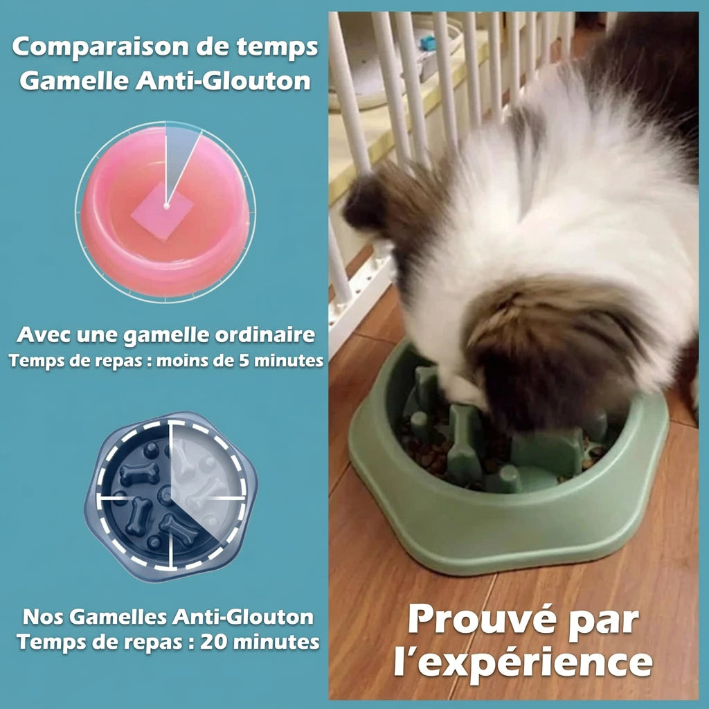 Gamelle anti-glouton Labyrinthe – dimensions