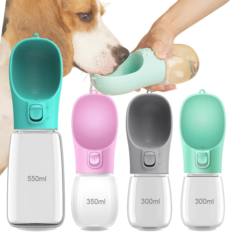Gourde Balade pour chien