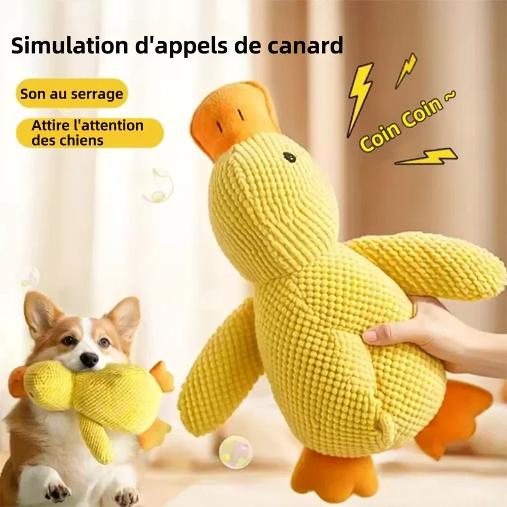 Canard à mâchouiller Coin-Coin – avantages