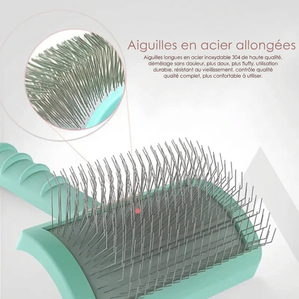 Brosse à Aiguilles Pro – caractéristiques