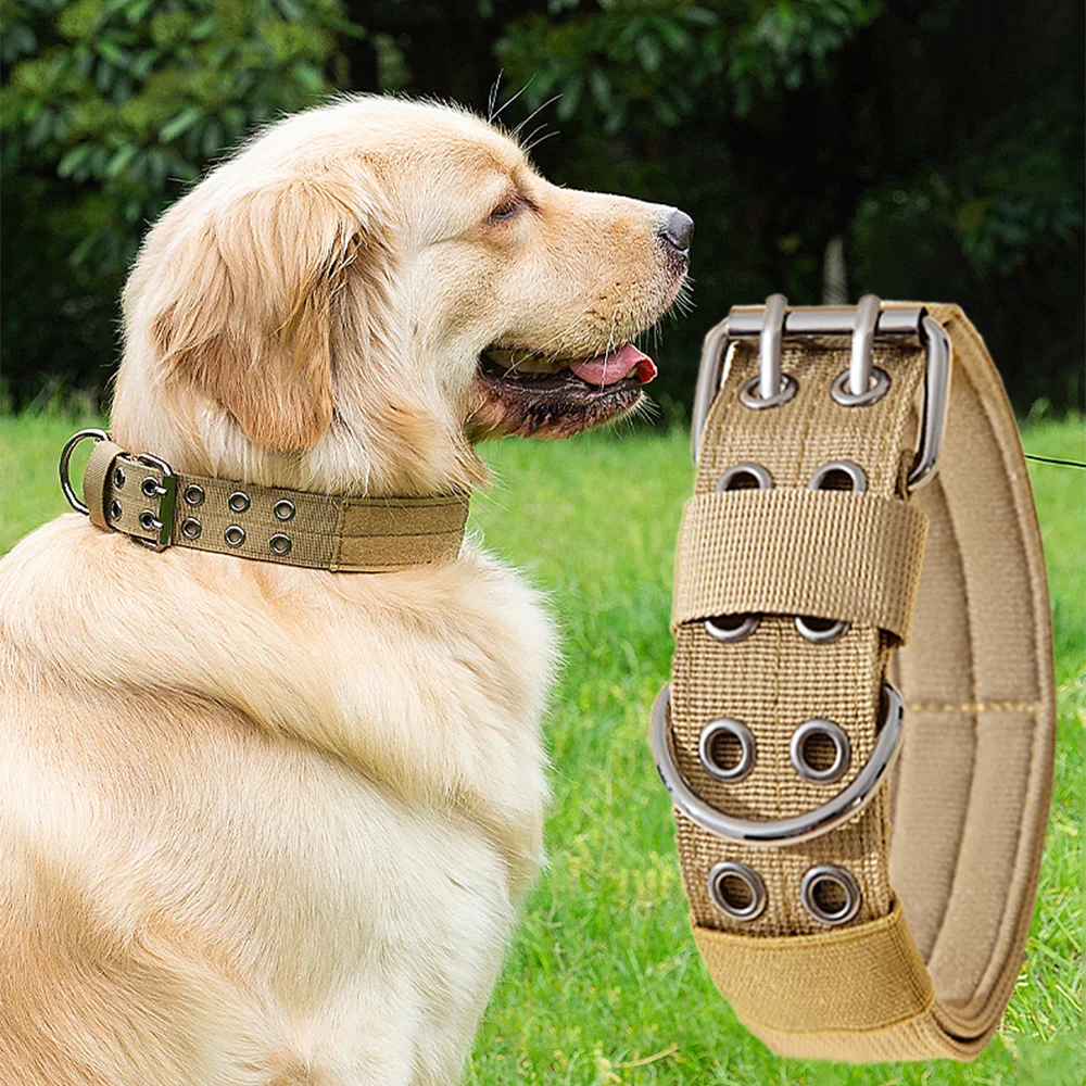 Collier tactique Commando pour chien