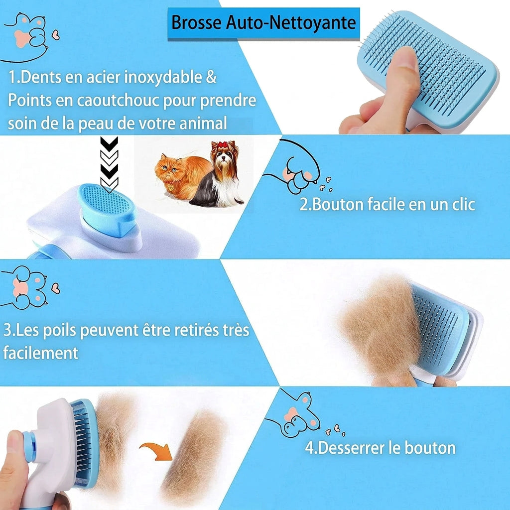 Brosse Anti-Poils – caractéristiques