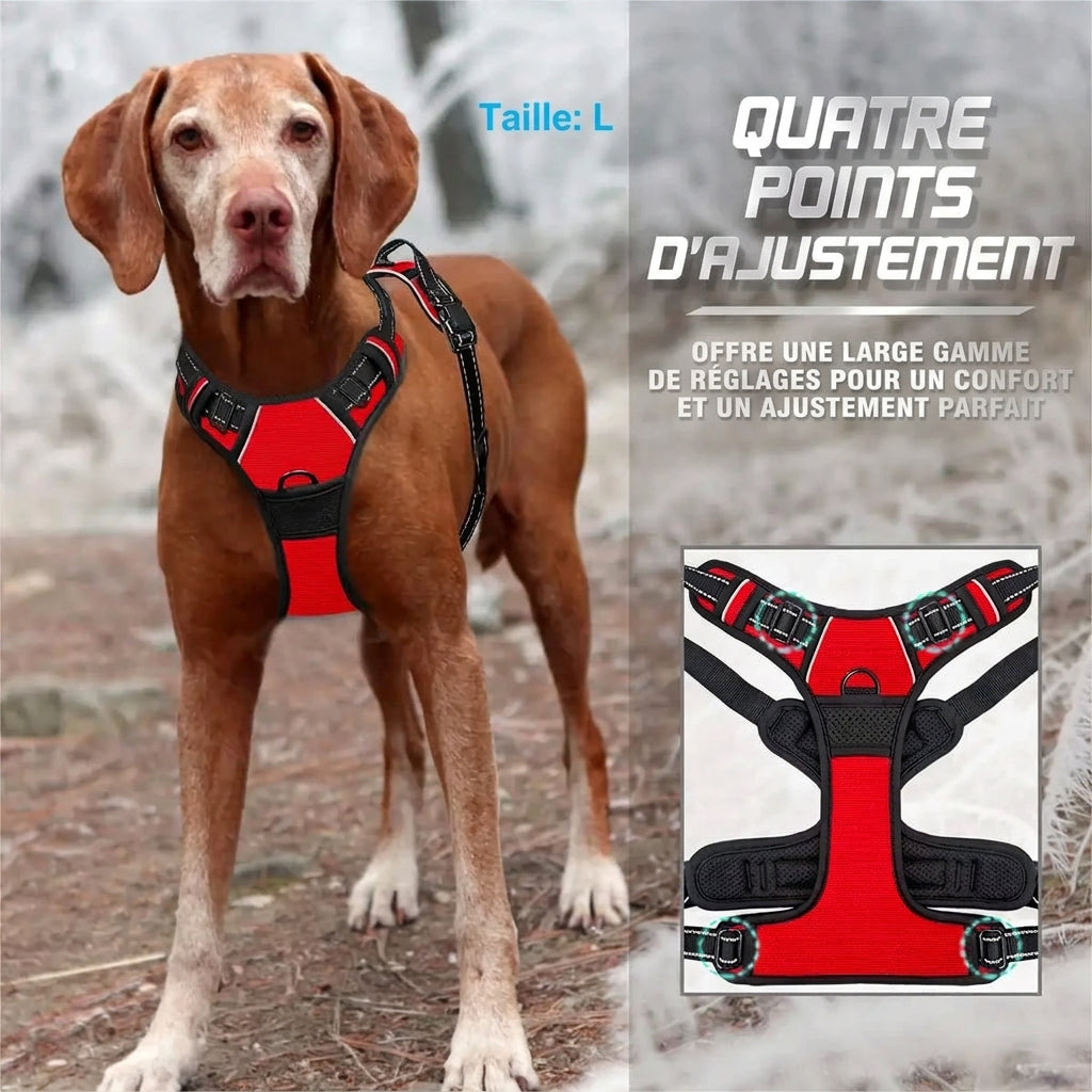 Harnais anti-traction Balade – quatre points d'ajustement